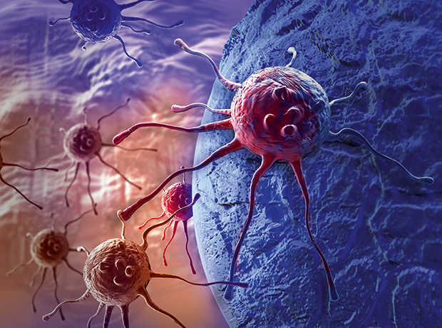 Client-Pharma Ltd tweet media