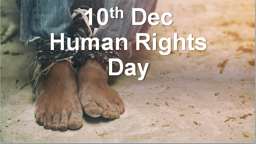 edbrix's tweet image. UN General Assembly in 1948 adopted the Universal Declaration of Human Rights #humanrights #assembly #general