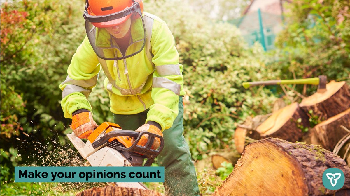 ONTatwork's tweet photo. Ontario’s Youth Advisors are working to boost the province’s skilled workforce. 

Educators, students, apprentices, parents, employers and others – we encourage you to share your experiences and opinions on how Ontario can improve awareness about skilled trades. https://t.co/RhlAuc5ylp