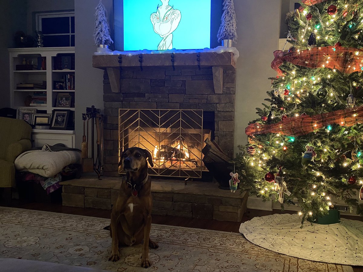 Which pet is cuter... Santa’s Lil Helper (left) or Jackson (right)? #MinionsChristmasCard