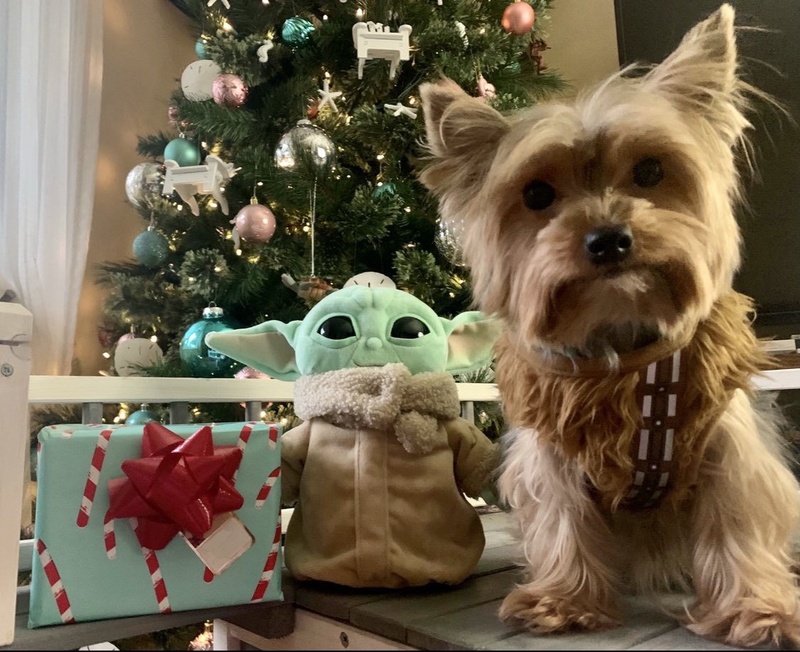 Which pet is cuter... Chewie (left) or Riley (right)? #MinionsChristmasCard