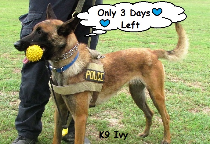 catmom_kathy's tweet image. Don't miss your chance to help keep a K9 safe and win one of the amazing prizes below!

#K9ArmyStrong #BluePawsMatter #ThursdayMotivation #ThursdayThoughts