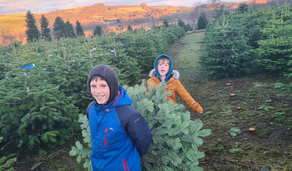 BCTGA's tweet photo. Off to pick a tree at @SholachTrees  🌲 🌲 🌲 
#keepitreal #bctga https://t.co/2KgvJjHi2p