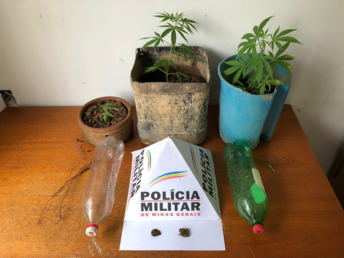 Police "succeeded in locating 02 PET bottles that were being used for irrigating the plants" https://www.policiamilitar.mg.gov.br/portal-pm/21bpm/21bpm/conteudo.action?conteudo=218446&tipoConteudo=noticia