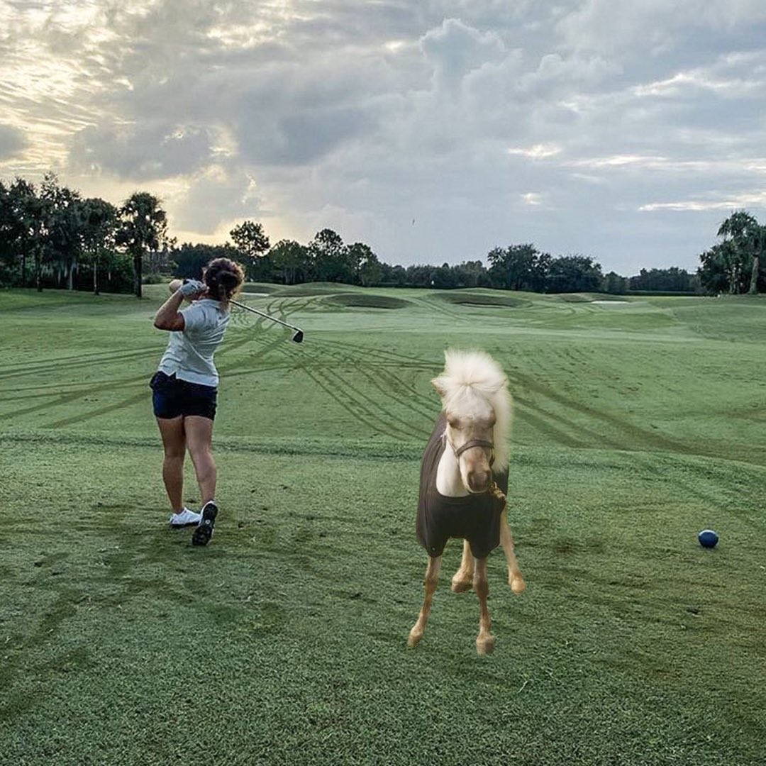 It me. You’ve heard of Elf on the Shelf, but haz you heard of...