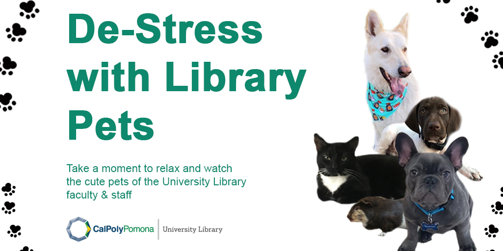 cpplibrary's tweet image. As you are between finals or finishing them, you need a mental break to unwind. Check out this adorable video of library employee pets to take a breather, smile, and relax: libguides.library.cpp.edu/finals
#CPP #CPPLibrary #CPPEvents #CPPFocusOnFinals