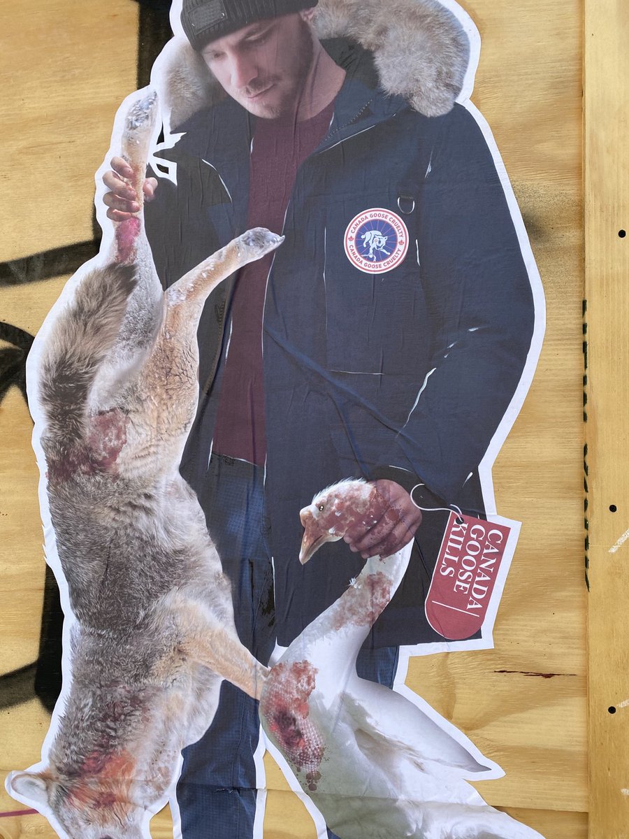 matt_heindl's tweet image. Hundreds of these popped up around NYC this week. #prnightmare