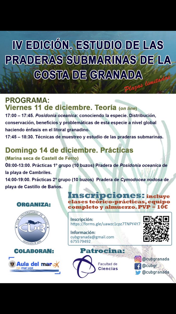 cubgranada's tweet photo. 🌿Buenas tardes! Volvemos a la carga con las actividades del club tras esta pausa. 
Os traemos la “IV Edición de las Jornadas de Estudio de las Praderas Submarinas de la Costa de Granada”, que comienza -ATENCIÓN- mañana día 11 de diciembre‼️⚠️ https://t.co/nvHaDeRpaC