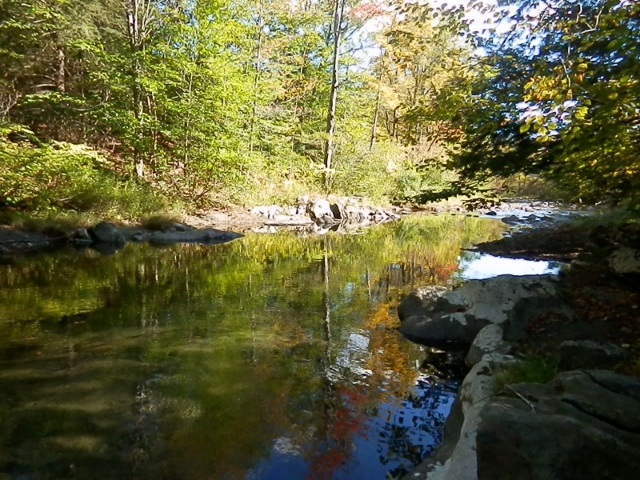 VT River Conservancy tweet media