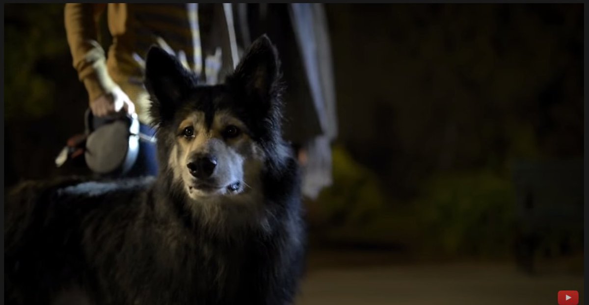 Adam J. Yeend tweet media