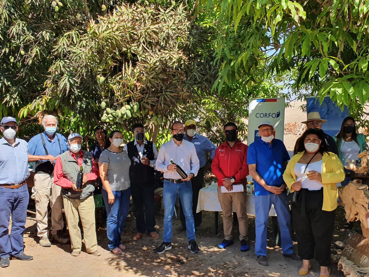 CesarVillanuV's tweet photo. Muy temprano en la hermosa comuna de #Pica conversando con agricultores de nuestros programas #Profo y #Focal de @Corfo. Maravillados con la mística de emprender en el desierto más árido del mundo. Y los invitamos a postular al subsidio PAR #Tamarugal 👉🏽👉🏽 https://t.co/v9ZnL0UCNd https://t.co/KWPCTStp7Z