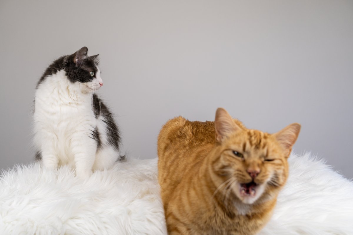 A story of a photoshoot told in photos (naturally)...