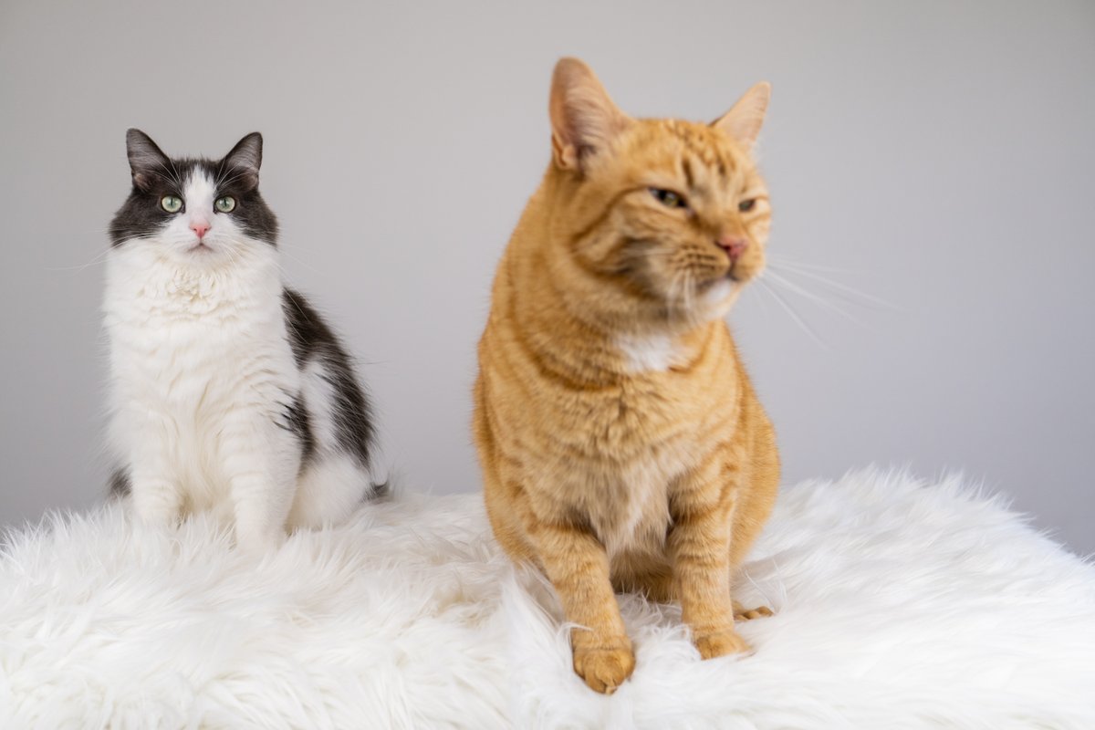 A story of a photoshoot told in photos (naturally)...