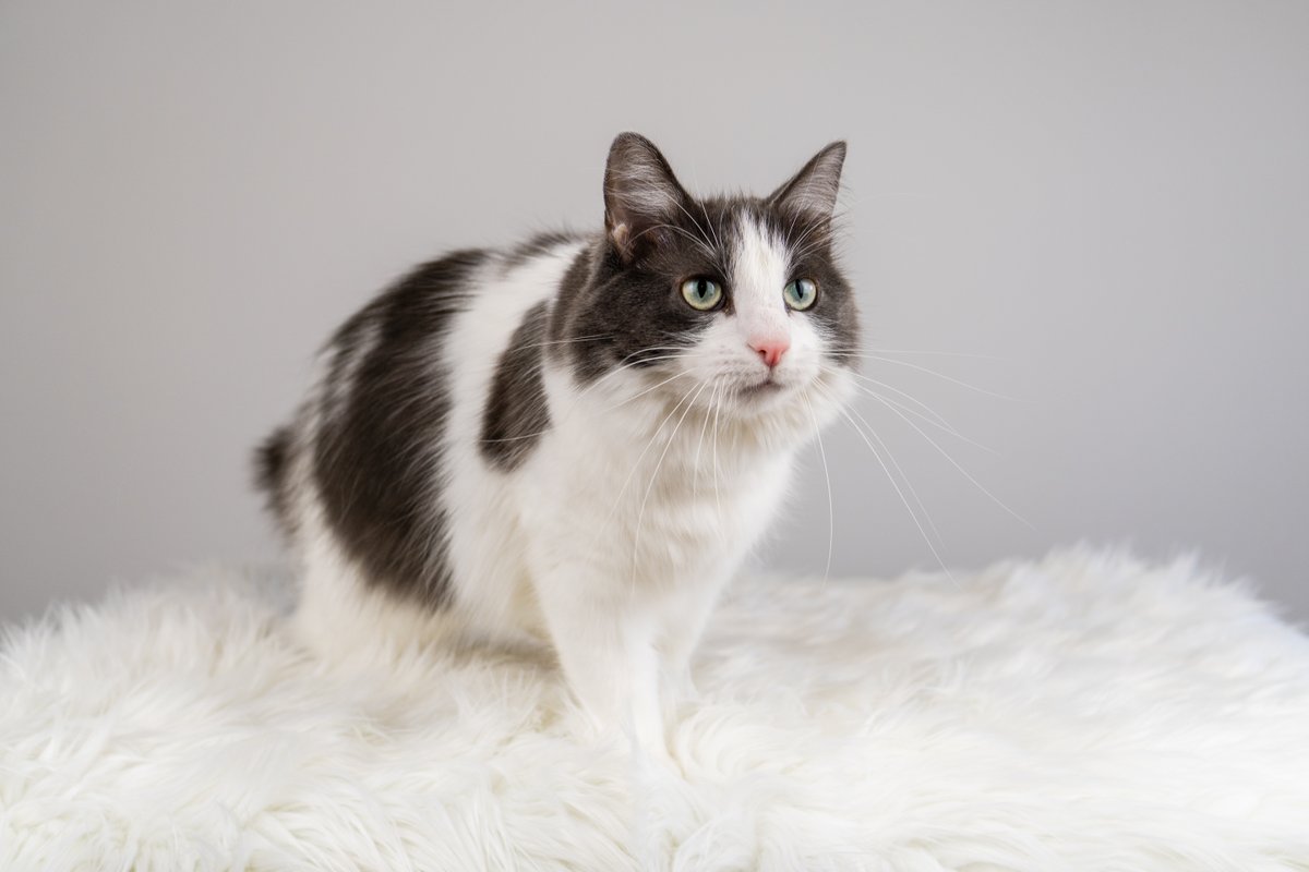 A story of a photoshoot told in photos (naturally)...