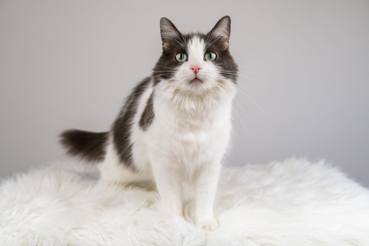 A story of a photoshoot told in photos (naturally)...