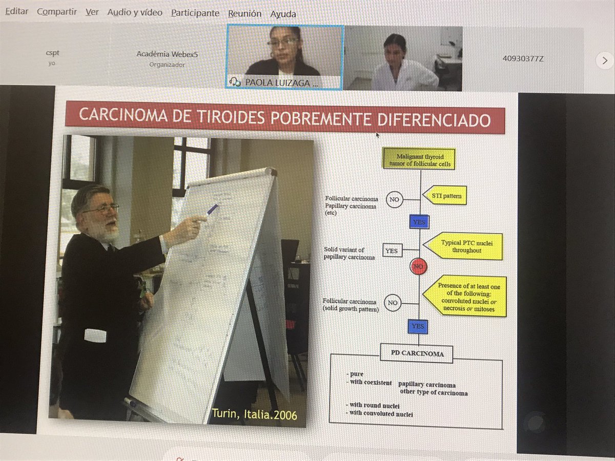 CostaIrmgard's tweet image. La Dra Luizaga repassa l’algoritme dx diagnòstic de ca de tiroides pobrement dif. recordant al Dr Rosai! #scap2020