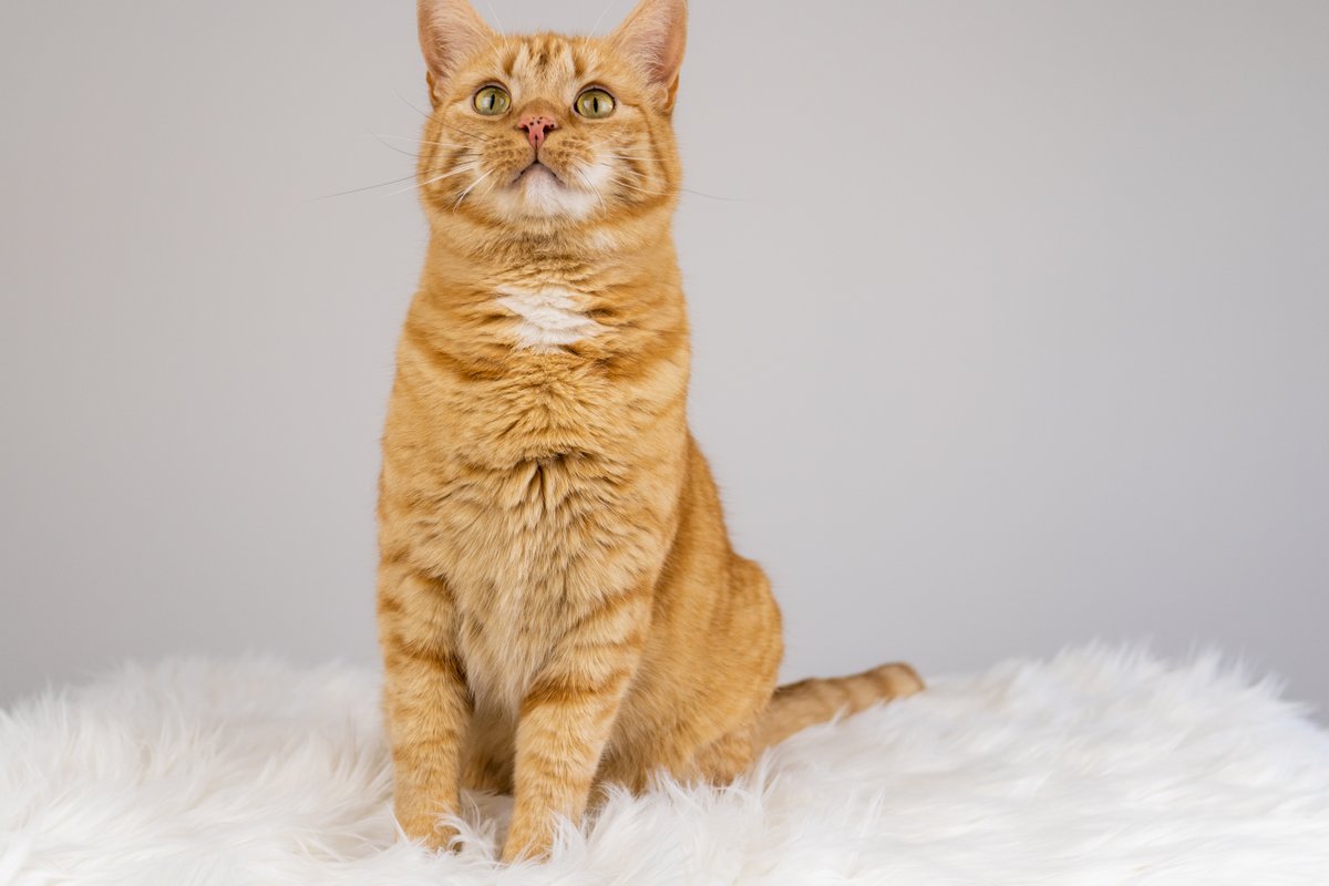 A story of a photoshoot told in photos (naturally)...