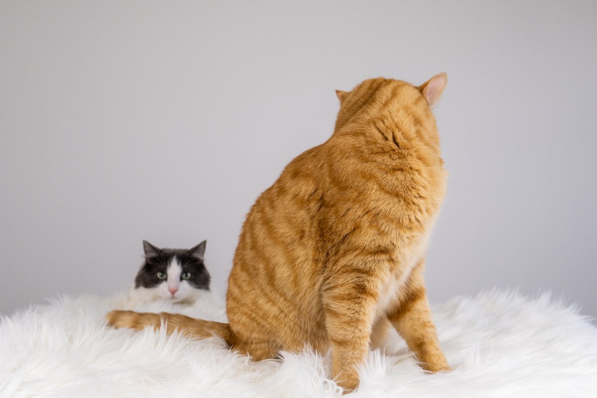 A story of a photoshoot told in photos (naturally)...