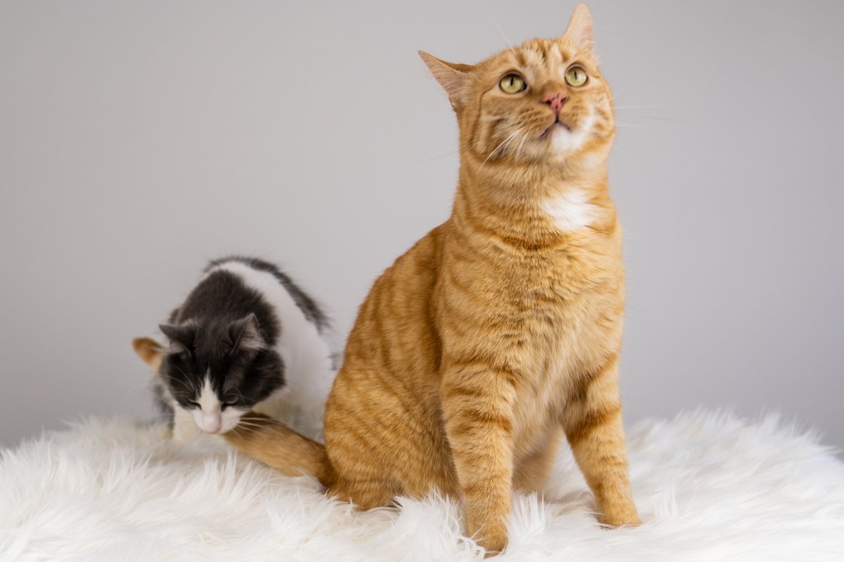 A story of a photoshoot told in photos (naturally)...