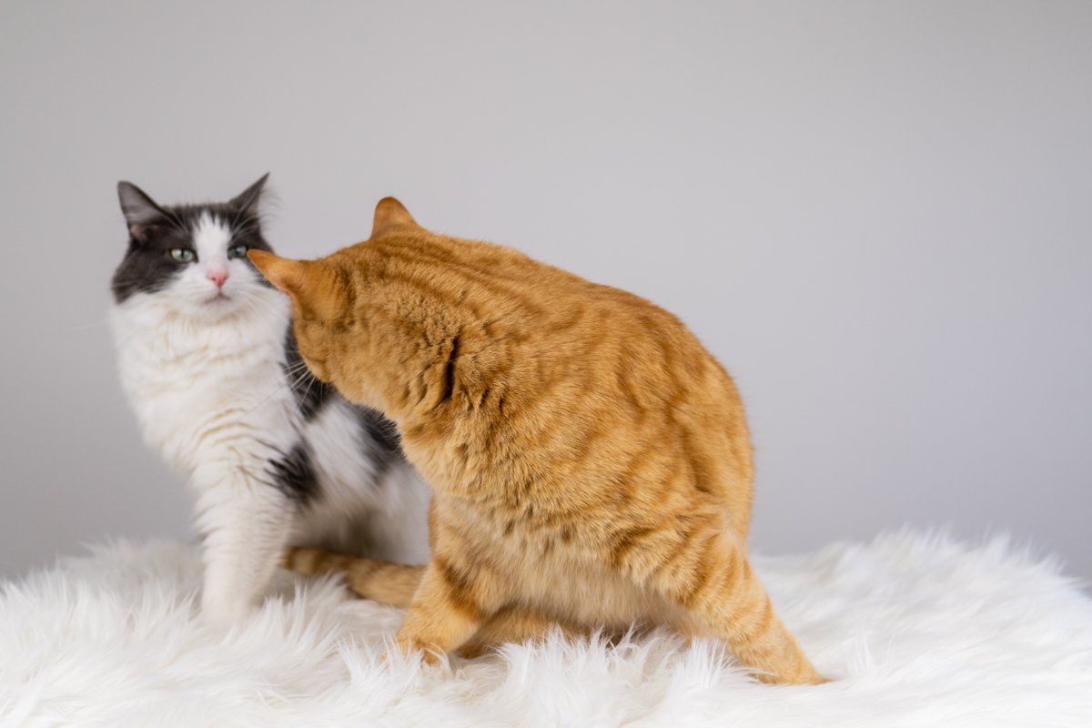 A story of a photoshoot told in photos (naturally)...