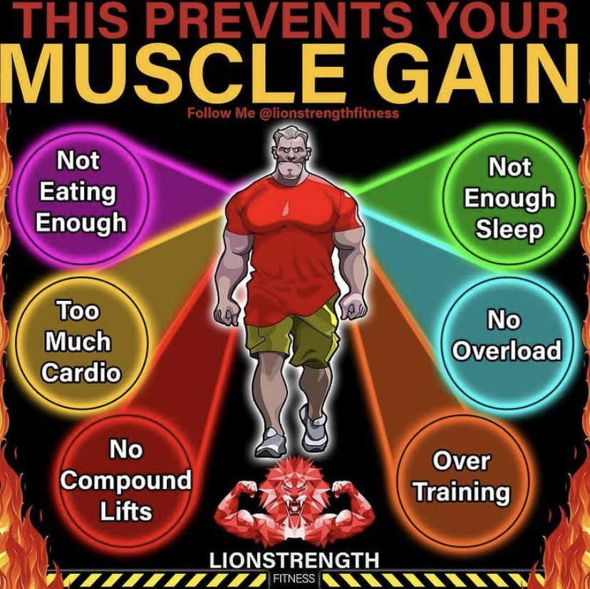 GetBigQuik's tweet photo. These habits all deter you on your mission to build #MuscleMass 💪 https://t.co/pYnv6iXrO8
