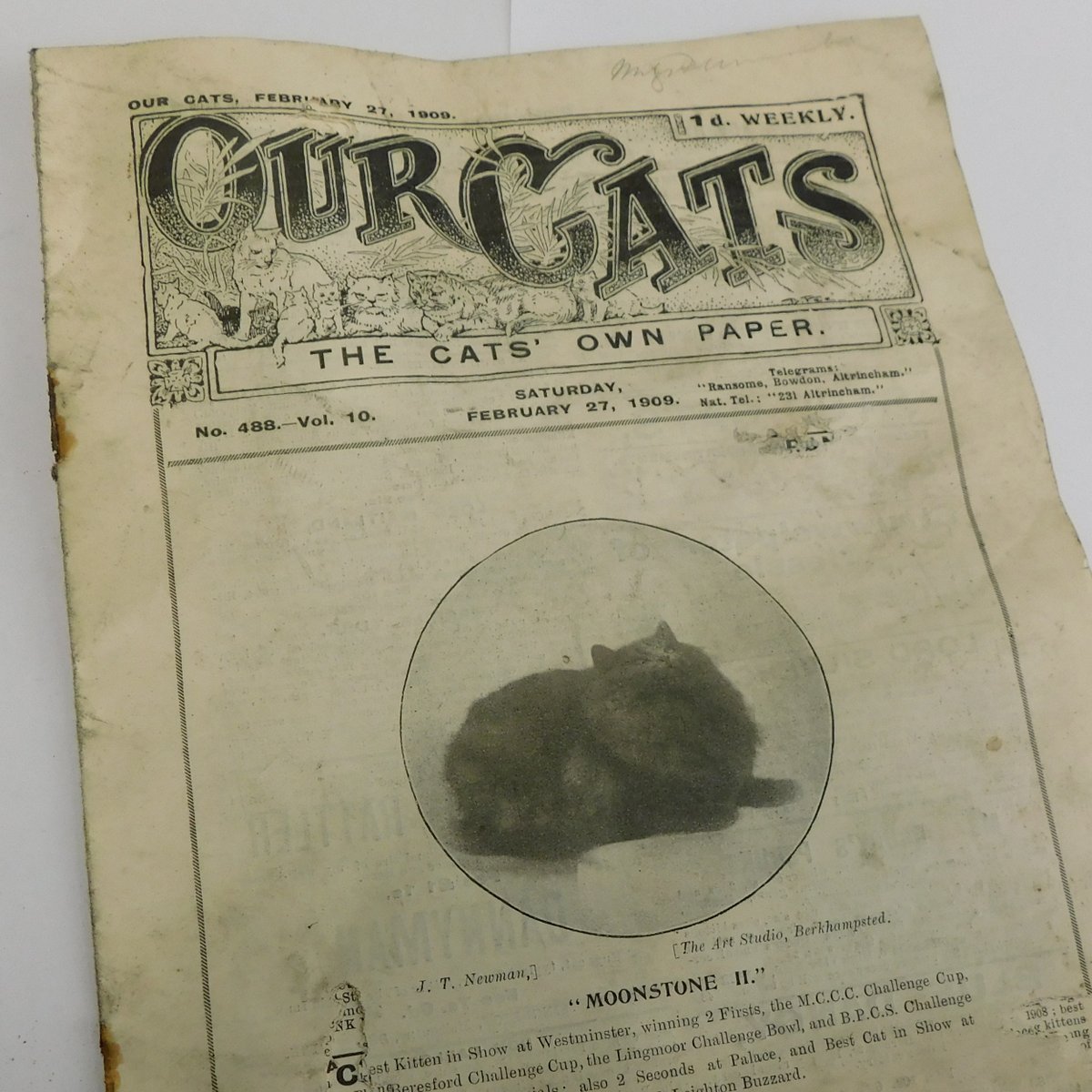 During the construction works for the Eastern Cloisters Project, the contractors uncovered many items that helped us to understand life in the cloisters. One of the most interesting finds were the newspapers and magazines found in the roof space of No. 12 & 14. (1/3)