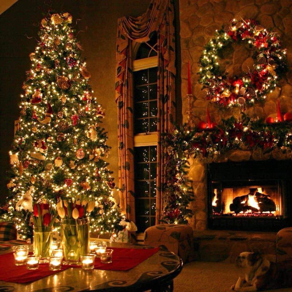 RosariaMirage's tweet image. Ciao Maria 😘😘🤗🎀🎀
Buona serata a te. 🌹🥂🥂🎀🌹💕💕💕💓💕