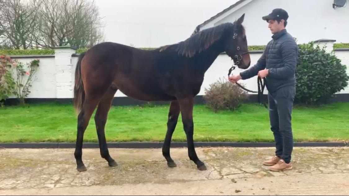 Dean Sinnott tweet media