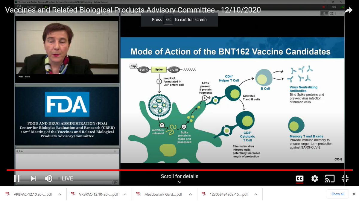 "The mRNA vaccine is non-infectious and cannot cause disease," said  @pfizer's Kathrin Jansen.  #vrbpac