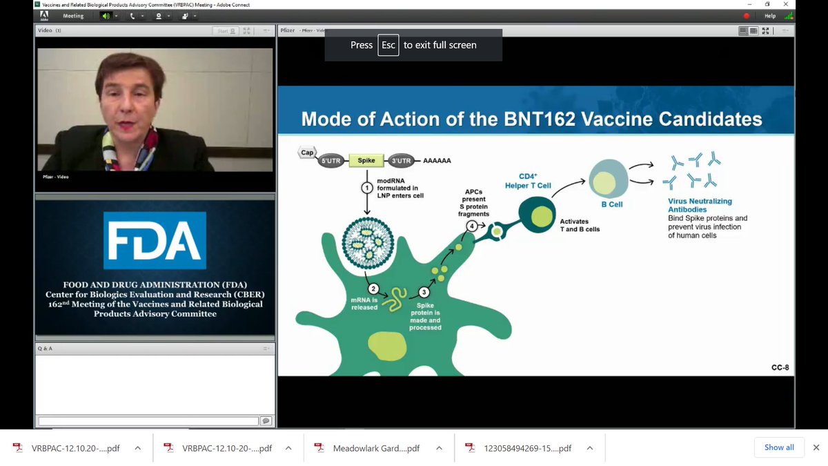 Kathrin Jansen of  @pfizer notes that mRNA vaccines stimulate memory T-cell production.  #vrbpac