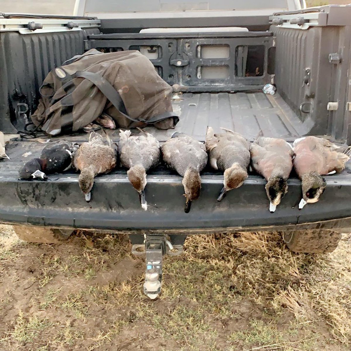 mason14wright's tweet photo. “The number 1 rule in duck hunting is to go where the ducks are.”— Jase Robertson 🦆 https://t.co/lbCfLCtWmW