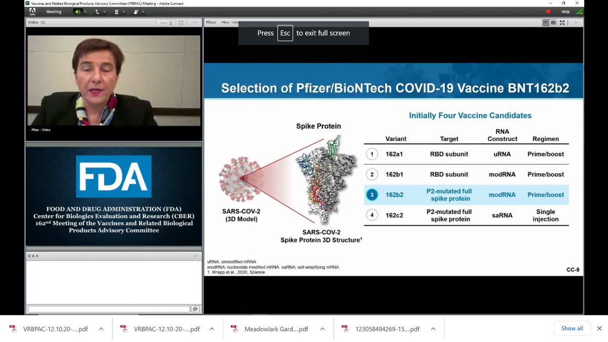  @Pfizer's Kathrin Jansen says the company looked at several possibilities before settling on the current covid-19 vaccine.  #vrbpac