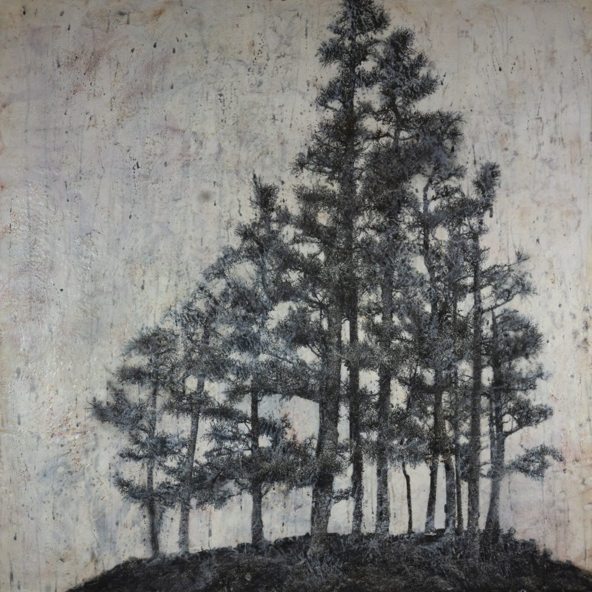 CLARE O'NEILL ("I crave the moment of connection")