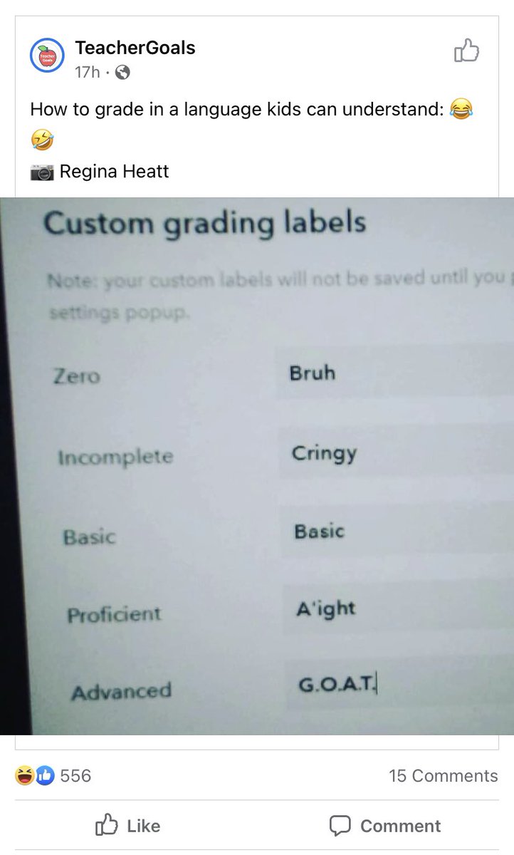 Rebecca Stein tweet media