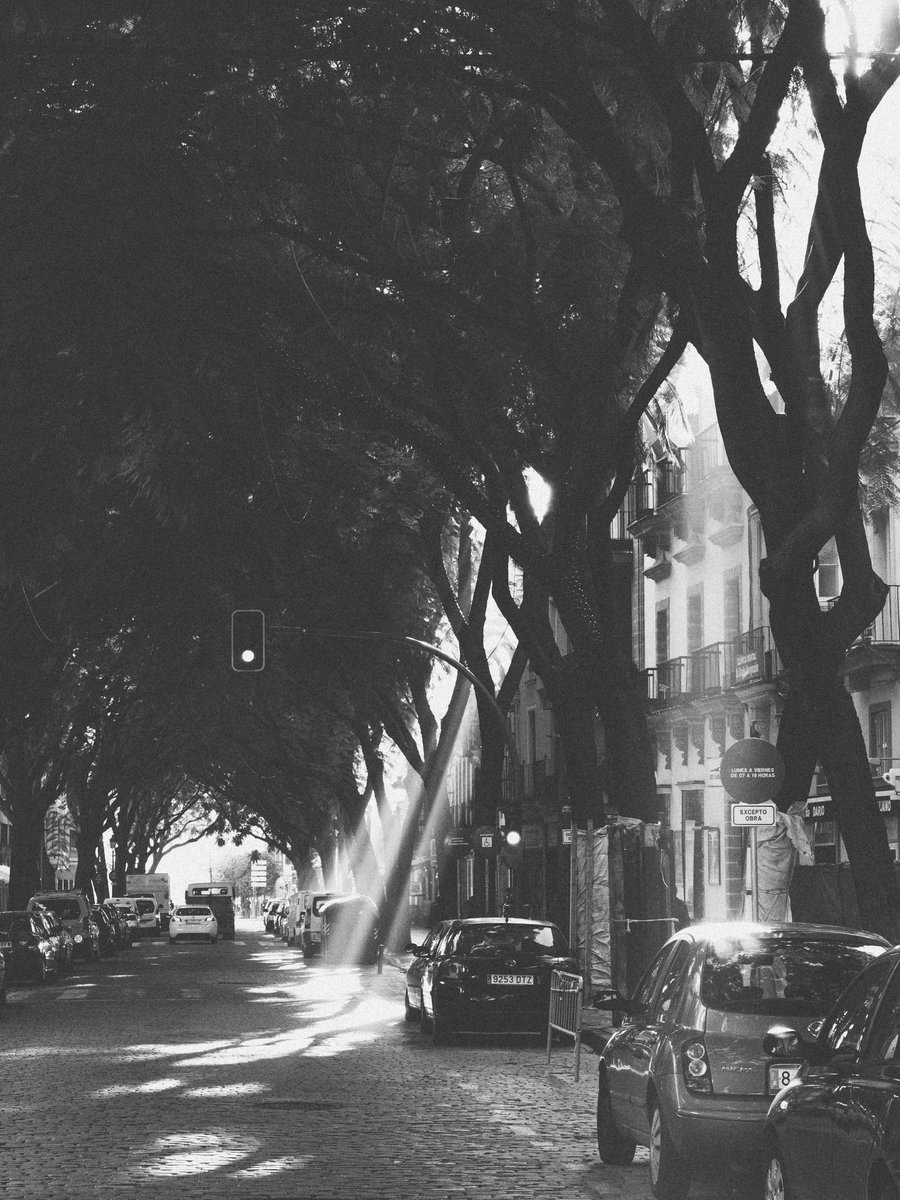 pablomooli's tweet image. bueno, una mañana normal en jerez.
espero q os guste

grasias