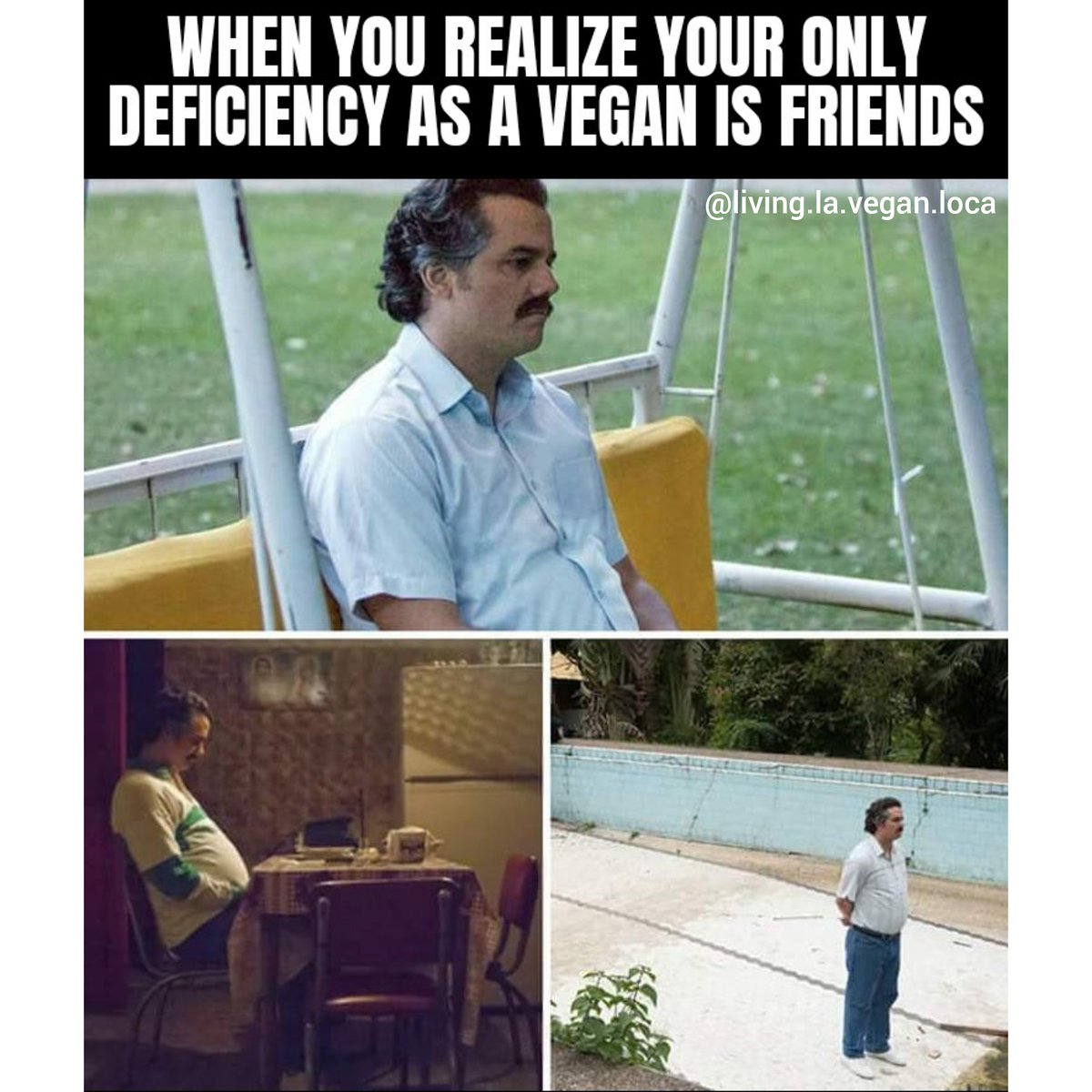 How many friends have you lost since going vegan? #veganmeme #veganism #veganhumor #govegan #veganlife