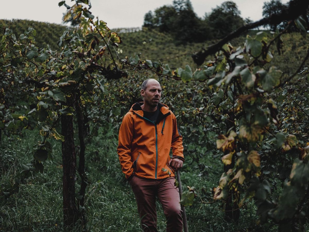 KogodWine's tweet photo. Bon Fide Austrian Naturalist: Werlitsch 🌿 - https://t.co/c69gv14cDb #WinesofPlace #Werlitsch #Styria #ExVero #SauvignonBlanc #Chardonnday #Opok #Freude #EwaldTscheppe #NaturalAustrianWine https://t.co/Z2TIfMd6wk