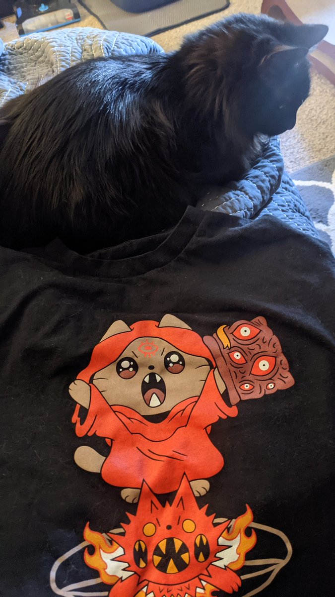 MisterZachy's tweet photo. Nekomancer is Archimedes approved 🥰 @OfficialCatGang
@dexbonus @oryozema https://t.co/WlNeRn3gN6