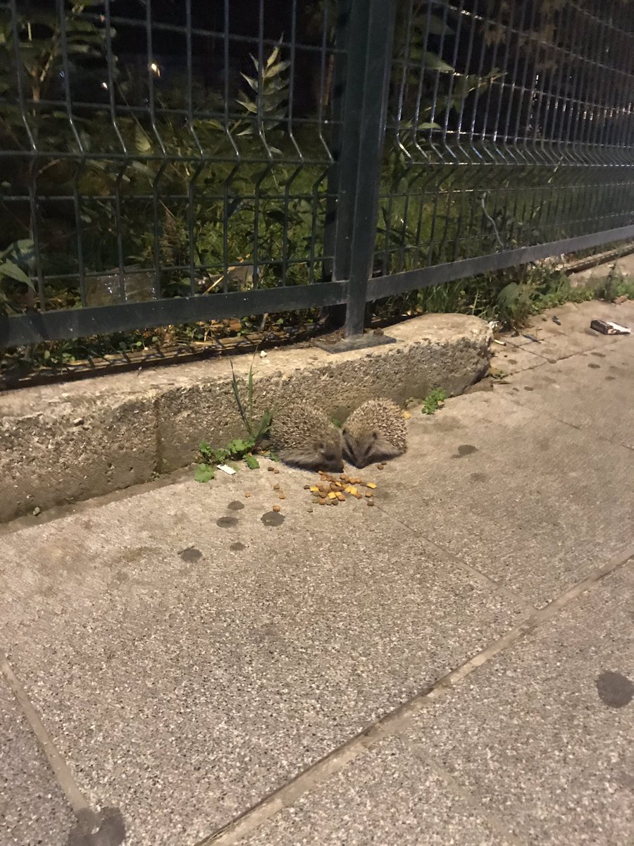 Ben ve her tivitimi favlayan <a href="/melih4599/">Melih</a>