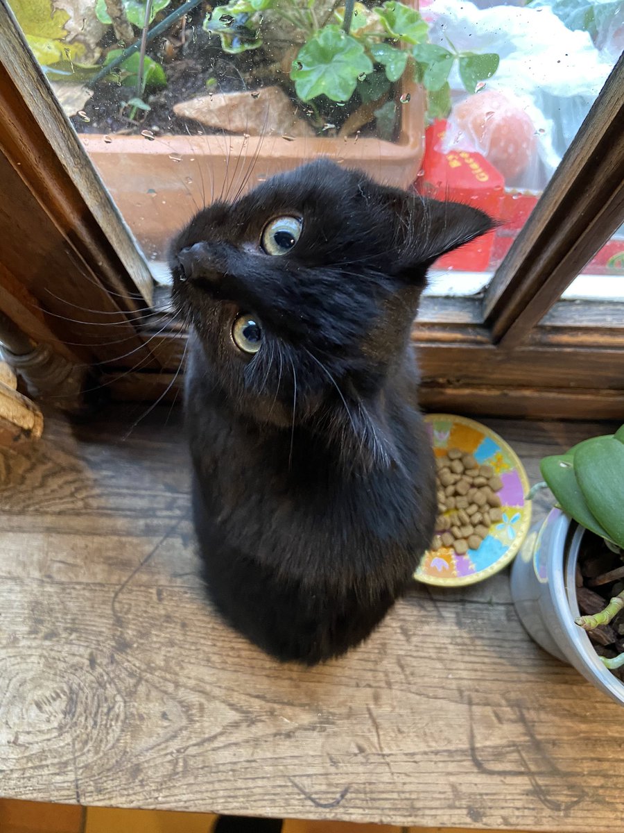 say hello to the new family member