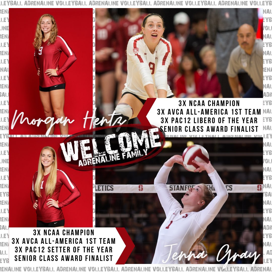 VBAdrenaline's tweet photo. ‼️1/21‼️

🤩 2 🆕Adrenaline Fams!

Morgan Hentz &amp; @jennagray22 are 3x All Americans &amp;National Champs from Stanford U who are playing Pro in Germany! Tons of💡&amp; are pumped to see what they can bring to VB in SD!!

Make sure you’re subscribed at https://t.co/ev9vVDY2Bt to keep up! https://t.co/X8TmGZVGc4