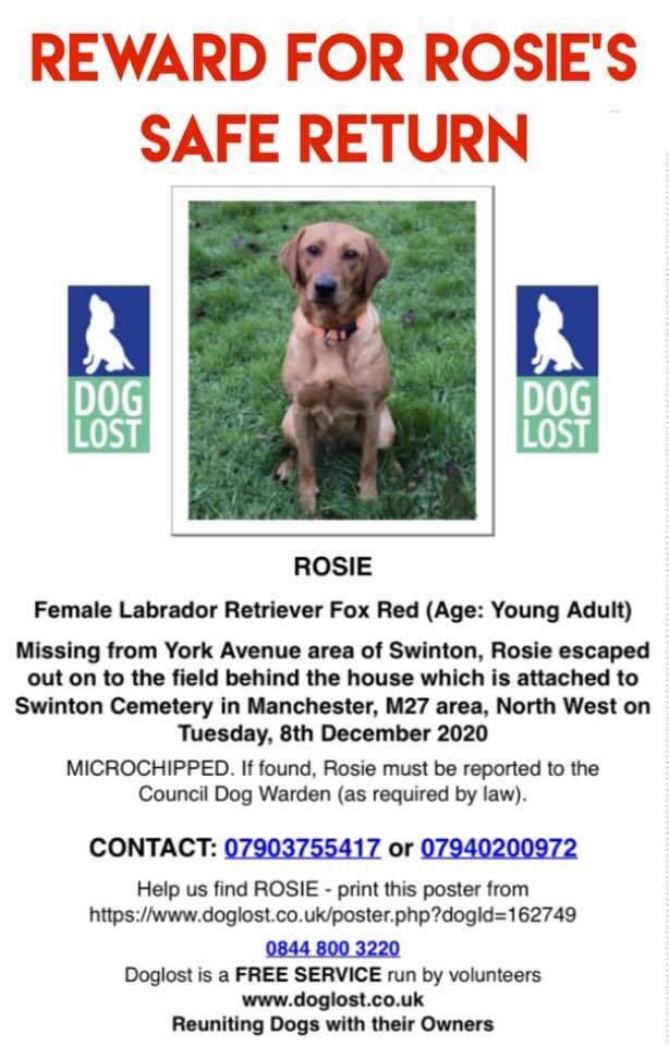 Please help #FindRosie group link here another 💔 family #RThttps://www.facebook.com/groups/854195065391657/?ref=share