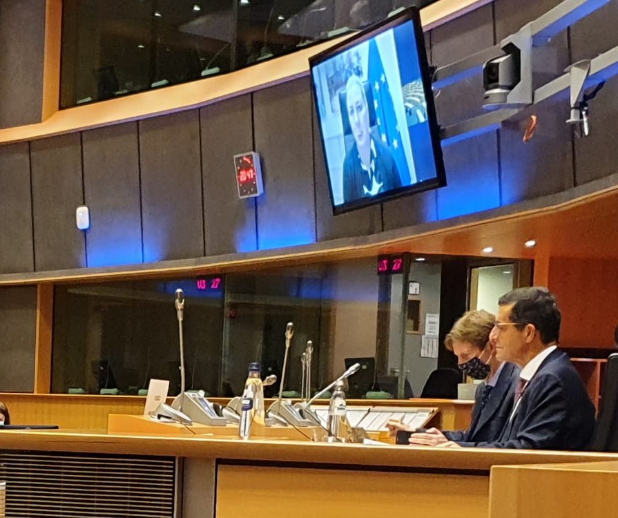 Thanks #EU Commissioner <a href="/JuttaUrpilainen/">Jutta Urpilainen</a> &amp; #ACP negotiator <a href="/rdussey/">Robert Dussey</a> &amp; <a href="/BMZ_Bund/">Bundesentwicklungsministerium</a> for their support for strong parliamentary dimension of post-Cotonou partnership with #Africa #Caribbean and #Pacific to strengthen #multilateralism and deliver results cutt.ly/EU-ACP-JPA2020