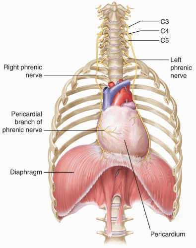 Central apnea occurs in many situations, and cranio-cervical instability is definitely the most commonWhy does apnea happen?Because the diaphragm (an essential muscle for breathing) doesn't activate