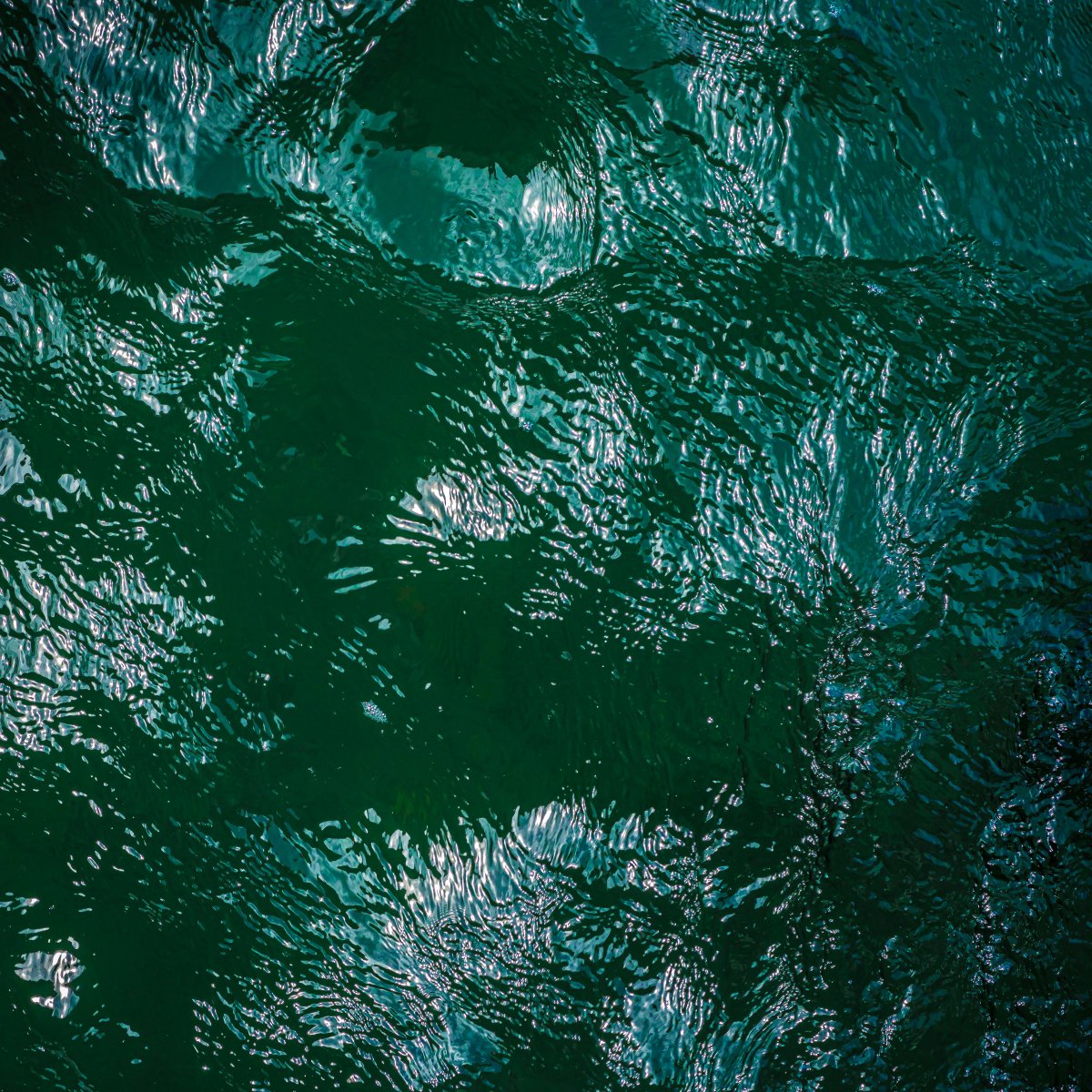 "Stephen Robeck is a photographic artist based in Santa Fe, NM. Much of his work is drawn from nature, but he enjoys creating images whose origins may not be readily clear. This kind of abstraction often leads to works that are intriguing, but also a bit mysterious."