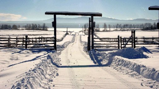 #TBT Winter up at Nulki Lake