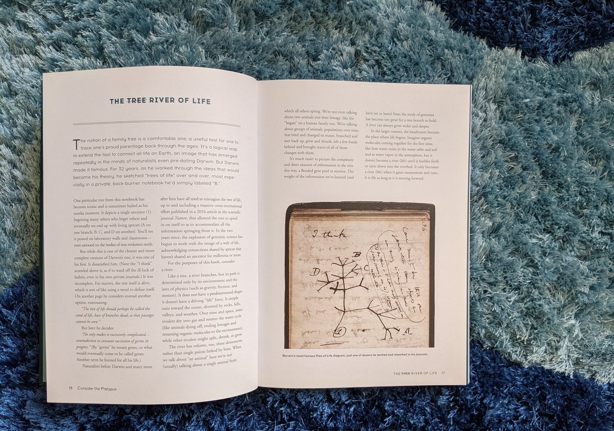 Mandford's tweet photo. I mean you know the Tree if Life itself has evolved past a tree. I personally think a River is more apt. You can read more about that in #ConsiderthePlatypus by yours truly. And #TheTangledTree by @DavidQuammen https://t.co/llNad3JLtk