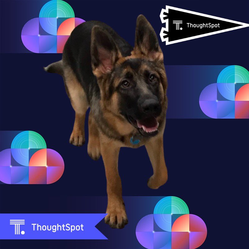 We love @ThoughtSpot 

Keep changing the world we are happy to be supporting you on your journey!    #BeyondDigital20