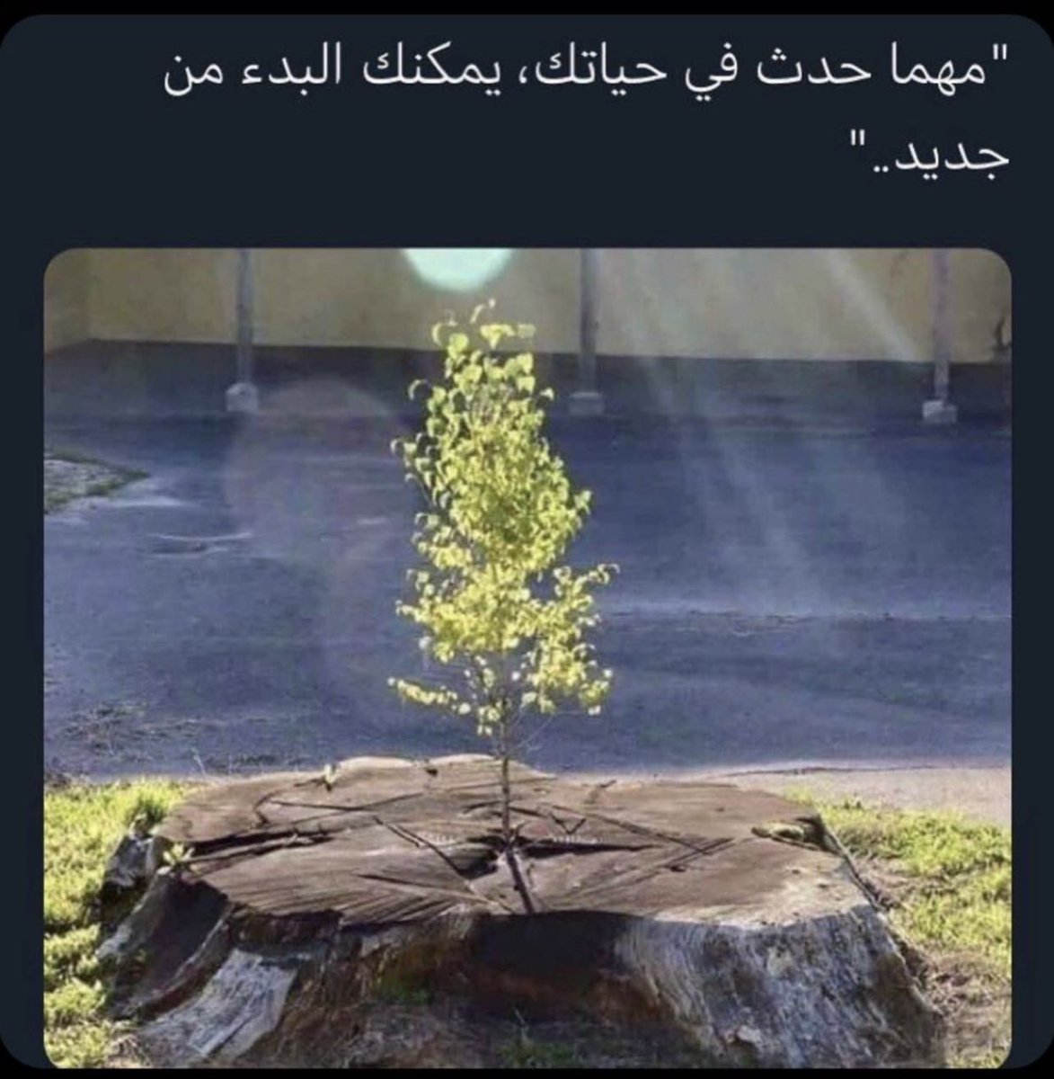 جمرة غضا♥ (@gmrt_ghda) on Twitter photo 