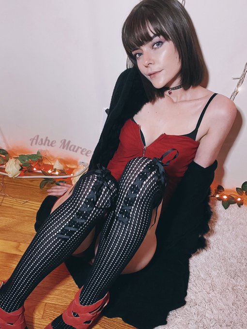 1 pic. have you put your Christmas tree up yet? ❤️🖤 can I come sit under it? 🥰 https://t.co/BqW4ZunU